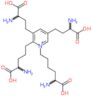 6-[2-(4-amino-4-carboxybutyl)-3,5-bis(3-amino-3-carboxypropyl)pyridinium-1-yl]norleucine