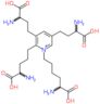 Isodesmosine