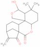 macrocalin A