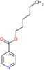 hexyl pyridine-4-carboxylate