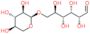 Isoprimeverose