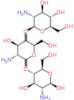 2-amino-2-deoxy-beta-D-glucopyranosyl-(1->4)-(4xi)-2-amino-2-deoxy-D-xylo-hexopyranosyl-(1->4)-2-amino-2-deoxy-beta-D-glucopyranose