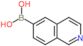 6-isoquinolylboronic acid