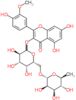 5,7-dihydroxy-2-(4-hydroxy-3-methoxyphenyl)-4-oxo-4H-chromen-3-yl 6-O-(6-deoxy-alpha-L-mannopyranosyl)-D-galactopyranoside