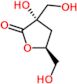 (3S,5S)-3-hydroxy-3,5-bis(hydroxymethyl)dihydrofuran-2(3H)-one (non-preferred name)