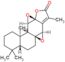 Jolkinolide B