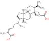 (2Z,6R)-6-[(3aR,6S,7S,9aS,9bS)-6-(2-carboxyethyl)-3a,6,9b-trimethyl-7-(1-methylethenyl)-2,3,3a,4,6…