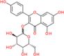 Kaempférol 3-O-galactoside