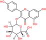 Kaempferol 3-O-glucurónido