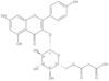 Kaempferol 3-O-(6′′-malonylglucoside)