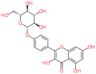 Kaempferol 4′-O-glucoside