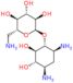 (1R,2R,3S,4R,6S)-4,6-diamino-2,3-dihydroxycyclohexyl 6-amino-6-deoxy-alpha-D-glucopyranoside