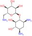 2′-Deamino-2′-hydroxyneamine