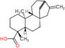 (5beta,8alpha,9beta,10alpha)-kaur-16-en-18-oic acid