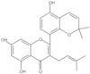 5,7-Dihydroxy-2-(5-hydroxy-2,2-dimethyl-2H-1-benzopyran-8-yl)-3-(3-methyl-2-buten-1-yl)-4H-1-benzopyran-4-one