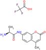 N-(4-methyl-2-oxo-2H-chromen-7-yl)-L-alaninamide trifluoroacetate