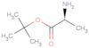 L-Alanine 1,1-dimethylethyl ester