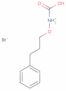 (S)-1-carboxy-3-phenylpropoxyammonium bromide