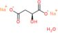 disodium (2S)-2-hydroxybutanedioate hydrate