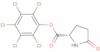 L-pyroglutamic acid pentachlorophenyl*ester