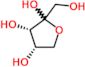 L-ribulofuranose