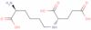 L-saccharopine