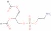 3-sn-phosphatidylethanolamine solution