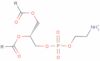 Glycerophospholipids, cephalins