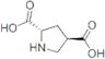 L-trans-pyrrolidine-2,4-dicarboxylic*acid