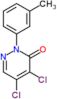 4,5-dichloro-2-(3-methylphenyl)pyridazin-3(2H)-one