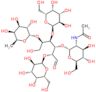 Lacto-N-fucopentaose I