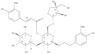 b-D-Glucopyranoside,2-(4-hydroxy-3-methoxyphenyl)ethyl O-D-apio-b-D-furanosyl-(1®6)-O-[6-deoxy-a-L-mannopyranosyl-(1®3)]-,4-[(2E)-3-(4-hydroxy-3-methoxyphenyl)-2-propenoate]