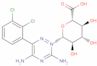 3,5-Diamino-6-(2,3-diclorofenile)-2-β-D-glucopiranuronosil-1,2,4-triazinium