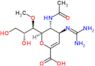 5-(acetylamino)-2,6-anhydro-3,4,5-trideoxy-4-[(diaminomethylidene)amino]-7-O-methyl-D-glycero-D-galacto-non-2-enonic acid