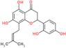 2-(2,4-dihydroxyphenyl)-5,7-dihydroxy-8-(3-methylbut-2-en-1-yl)-2,3-dihydro-4H-chromen-4-one