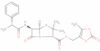 Lenampicillin