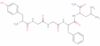 leucine enkephalinamide acetate