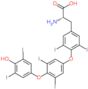 (2S)-2-amino-3-[4-[4-(4-hydroxy-3,5-diiodo-phenoxy)-3,5-diiodo-phenoxy]-3,5-diiodo-phenyl]propanoic acid