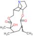 12-hydroxy-1,2-dihydrosenecionan-11,16-dione