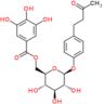 4-(3-oxobutyl)phenyl 6-O-(3,4,5-trihydroxybenzoyl)-beta-D-glucopyranoside