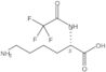 N<sup>2</sup>-(2,2,2-Trifluoroacetyl)-<span class="text-smallcaps">L</span>-lysine