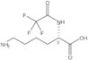 N2-(2,2,2-Trifluoroacetyl)-L-lysine