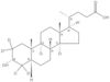 (3α,5β)-3-Hydroxycholan-24-oic-2,2,4,4-d<sub>4</sub> acid