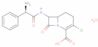 Loracarbef monohydrate