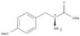 O-Methyl-L-tyrosine methyl ester