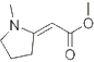 Methyl 2-(1-Methyl-2-pyrrolidylidene)acetate