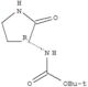 Acido carbammico, N-[(3R)-2-osso-3-pirrolidinil]-, estere 1,1-dimetiletilico