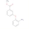 Benzoic acid, 3-(2-aminophenoxy)-, methyl ester