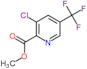 Methyl 3-chloro-5-(trifluoromethyl)pyridine-2-carboxylate