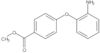 Methyl 4-(2-aminophenoxy)benzoate